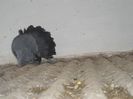DSCN0436