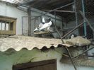 DSCN0441