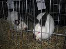 DSCN0168