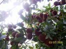 100_6190
