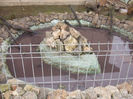 DSCF0487