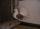 SANY0497