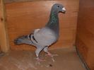 SANY0404