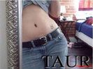 2-Poze-zodii-TAUR3