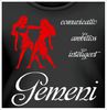 tricou_personalizat_zodiac_gemeni