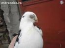 images (56)