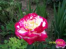 Copy of 101_0004