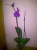IMG-20140119-00597
