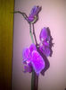 IMG-20140119-00598