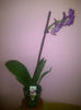 IMG-20140119-00600