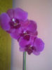 IMG-20140119-00602
