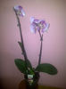 IMG-20140119-00603