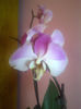 IMG-20140119-00604