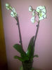 IMG-20140119-00606