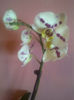 IMG-20140119-00607