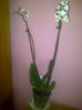 IMG-20140119-00608