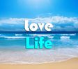 love-is-life (6)