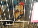 DSCN0289