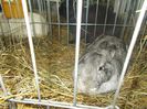 DSCN0345