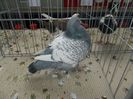 DSCN0378