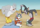 Tom si Jerry
