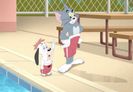 Tom si Jerry