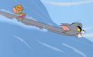 Tom si Jerry
