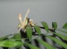 DSCN0956