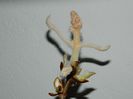 DSCN0958