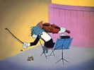 Tom si Jerry