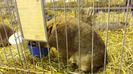 20140119_112323