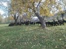 IMG-20131018-WA0001