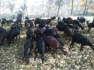 IMG-20131018-WA0004