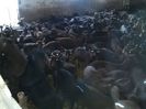 IMG-20140117-WA0000