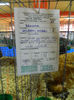 DSCN5019