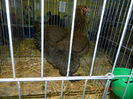 DSCN5057