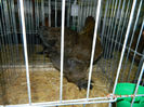 DSCN5072