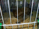 DSCN5074