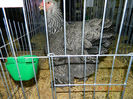 DSCN5078