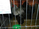 DSCN5141