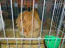 DSCN5154