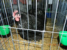 DSCN5177