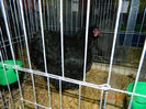 DSCN5179
