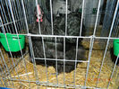 DSCN5194