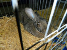 DSCN5285