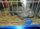 DSCN5337