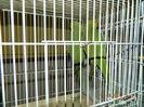 DSCN5371