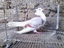 IMG_20140120_135008