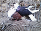 IMG_20140120_135436
