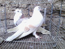 IMG_20140120_135739